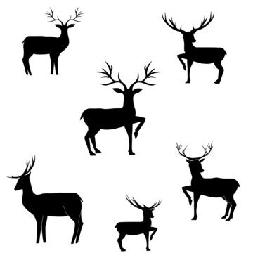 Set of black silhouettes of deer on white