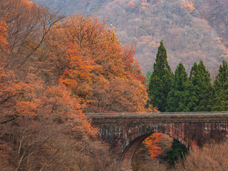 晩秋の廃線跡　信越線、碓氷峠の紅葉　11月