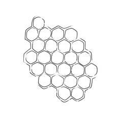 Obraz premium Propolis. Doodle hand drawn honeycomb structure. Honey, pollen, wax, parchment and bee products in sketch style. Stock black and white illustration on a white background.