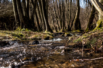Stream flowing in nature