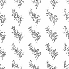 Seamless pattern black doodle branches with leaves on a white background. For packaging, textiles, design, wallpaper