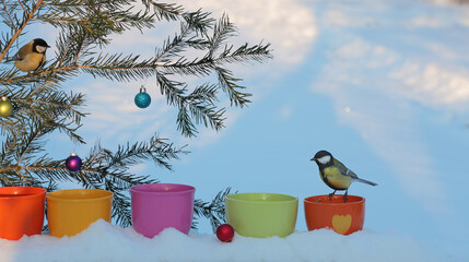 Two tits at bird feeders with a Christmas tree. Winter Xmas background.