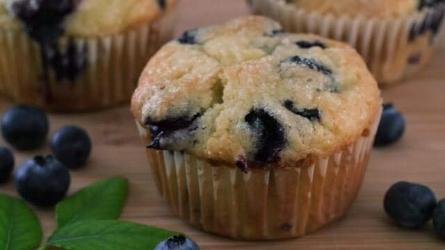 Tasty Blueberry Muffin