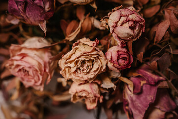 Bouquet of dry pink roses with twigs of dried plants, background