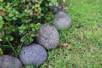 river stone that is used as a plant barrier decoration with grass so that it looks more beautiful