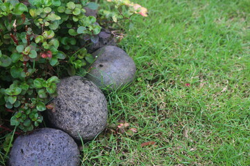 river stone that is used as a plant barrier decoration with grass so that it looks more beautiful