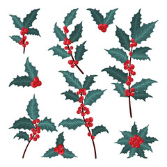 Christmas holly berry set, green leaf, red berry, branches, twigs. Vector winter illustration isolated on white background for Christmas cards and decorative design.