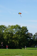 Rodzinna rozrywka weekendowa podczas zabawy latawcami w parku. - obrazy, fototapety, plakaty