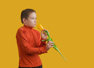 boy sniffing tulip flower on yellow background