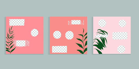 Social media covers with simple design elements . grunge style . Leaves . Post frame stories templates.  Layout for promotion .Media banner .Vector