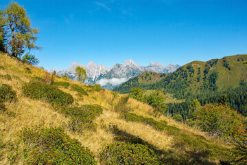 Naklejka na ściany i meble The late summer - early autumn landscape near Sauris di Sopra, Udine Province, Friuli-Venezia Giulia, north east Italy 