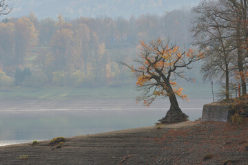 ederseeufer bei niedrigwasser