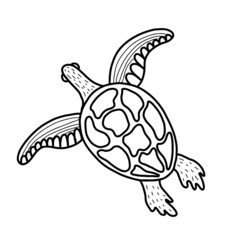 Cute sea turtle. Vector illustration in the style of a doodle. turtle sketch