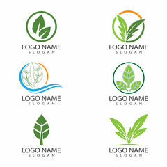 Leaf icon Vector Illustration design Logo template