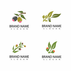 Eucalyptus leaves logo vector template design illustration