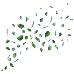 Card or background with green leaves. Spring or summer stylized foliage.