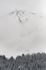 Sommet dans le brouillard en hiver au-dessus d'une forêt de sapins