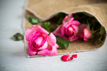 pink beautiful summer roses on wooden table