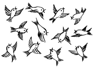 White background with small black birds