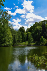 lake in the forest