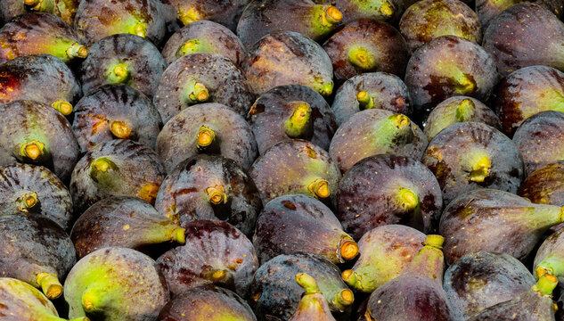 group of figs