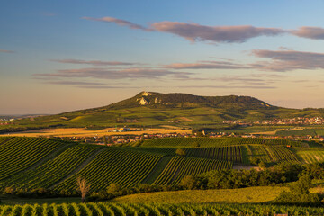Vineyards under Palava near Dolni Dunajovice, Southern Moravia, Czech Republic