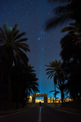 Fototapeta premium palm trees at night