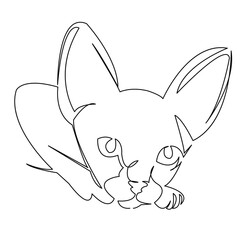 Kitty