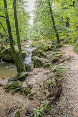 Path along the black Ernz river with crystal clear water flowing between huge moss covered stones surrounded by trees and wild vegetation, fading into the background, Mullerthal Trail, Luxembourg