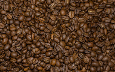 coffee beans background