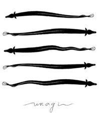 Japanese Unagi ( eel ) illustration by sumi brush - obrazy, fototapety, plakaty