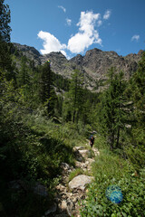Fototapeta na wymiar Fare trekking tra le montagne della Valle d'Aosta nel Parco Naturale del Monte Avic e camminare immersi nella natura