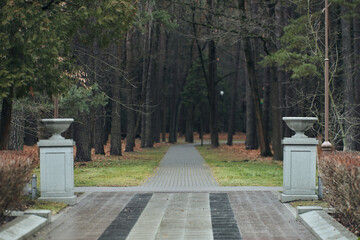 Pathway road in a Peaceful autumn Park