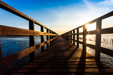 Obraz premium The forest mangrove with wooden walkway bridge,Red bridge and bamboo line