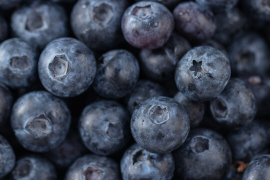 Ripe blueberries on a plate