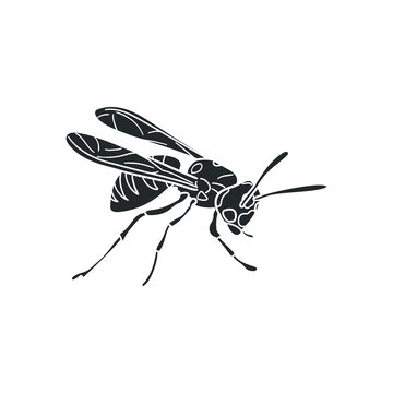 Wasp Icon Silhouette Illustration. Insect Vector Graphic Pictogram Symbol Clip Art. Doodle Sketch Black Sign.