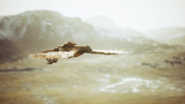 extreme slow motion shot of eagle