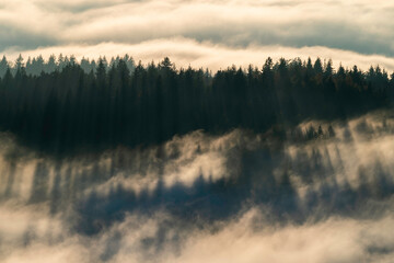 Schwarzwald im Nebel bei Inversionswetter