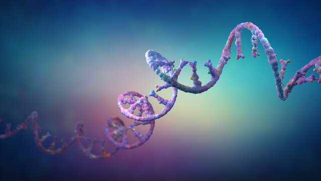 Ribonucleic acid strands consisting of nucleotides - 3d illustration
