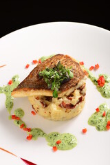 Tasty healthy fish fillet with potato puree with dried tomatoes and wild garlic sauce