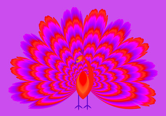 Red peacock with shining tail. Optical expansion illusion.