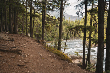 Trail Over McDonald Creek in Muted Colors