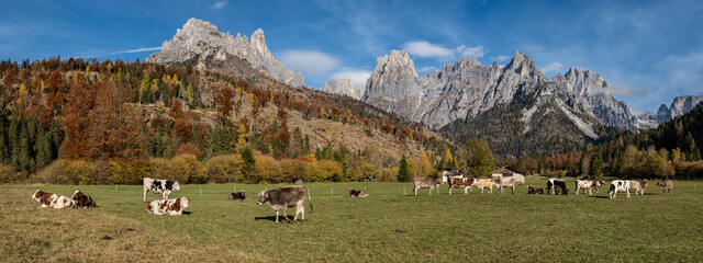 Panoramica in Primiero © scabrn
