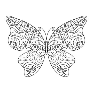 Butterfly coloring page for adults. Hand-drawn vector illustration.