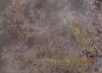 golden branches of fern on a variegated background
