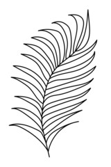 Hand drawn palm leaf. Doodle vector illustration. Isolated icon on the white background. EPS 10.