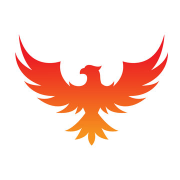 phoenix bird vector logo icon royalty free image