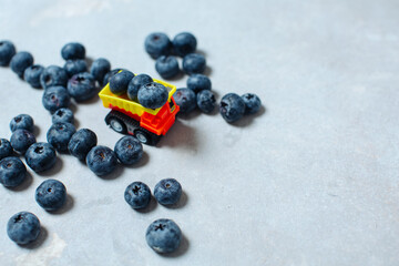 Transportation of fresh juicy blueberries for a customer. concept of delivery and supply of healthy food to the population.