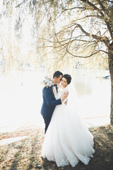 Newly married couple running and jumping in park while holding hands