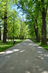 Cieplice Zdrój, główna promenada przez Park Zdrojowy, wiosna, polska